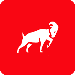 Chibarro Grei
